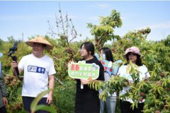 传媒学院编导名师冯晓临带领团队沿着河西走廊